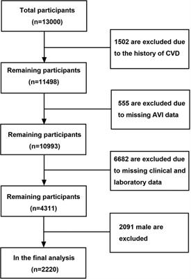 Relative contributions of arterial stiffness to cardiovascular disease risk score in Chinese women in framingham and China-PAR model
